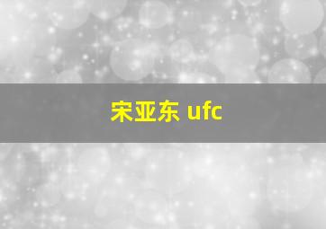 宋亚东 ufc